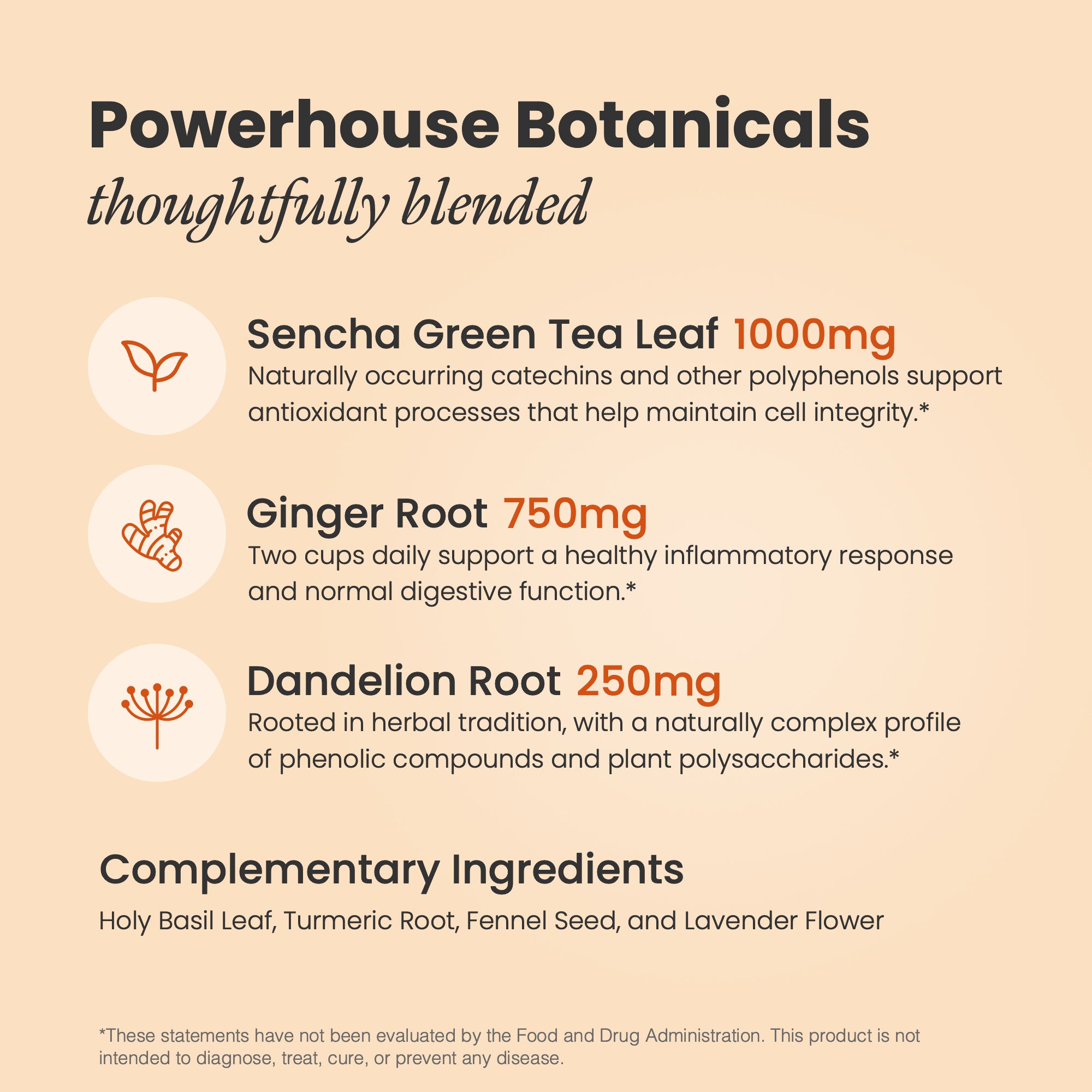 Wellness Functional Tea