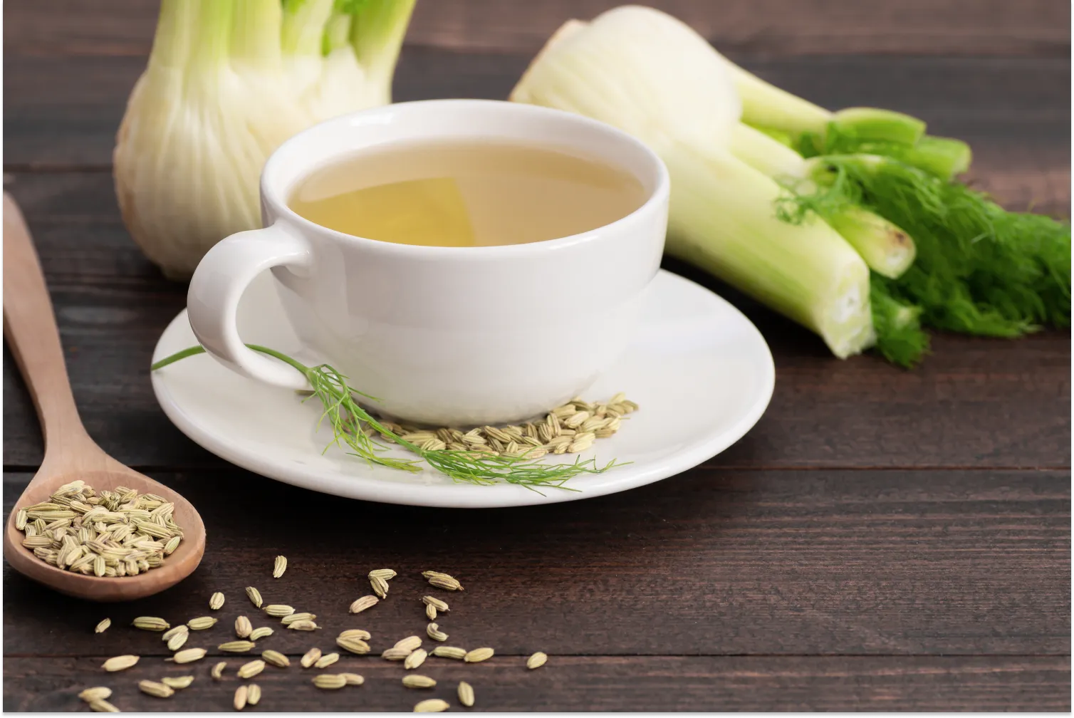 10 Fennel Seed Tea Benefits You Should Know