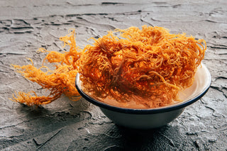 10 Health Benefits of Irish Sea Moss