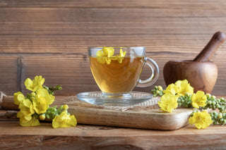 Mullein Tea Benefits: What You Should Know