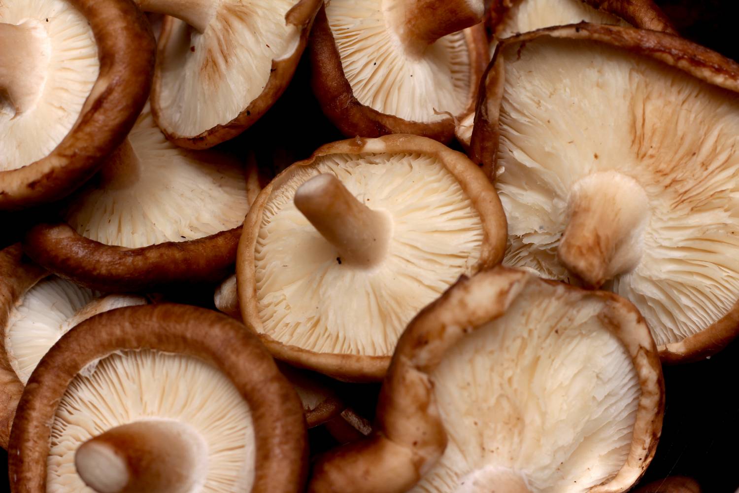 Shiitake Mushrooms: Nutritional Value, Benefits, And Side Effects