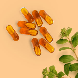 Close-up of Herbaly's Wildcrafted Oregano Oil Capsules showing their size, shape, and color