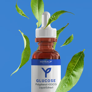 Glucose Polyphenol Plus EGCG Liquid Extract
